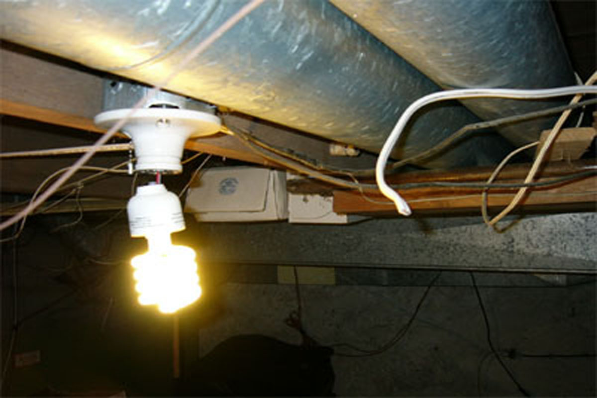 Defect Pics from inspections